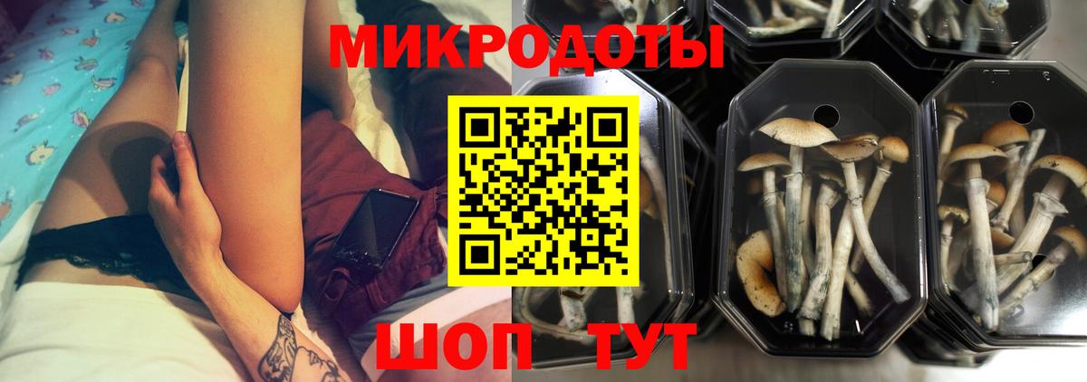Галлюциногенные грибы Cubensis Будённовск